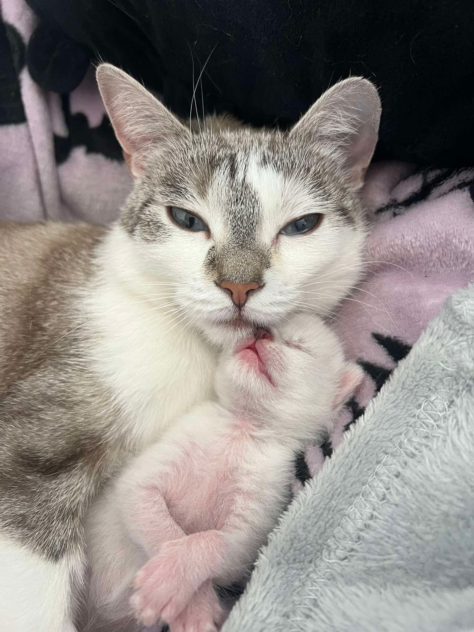 Milka Profile Picture