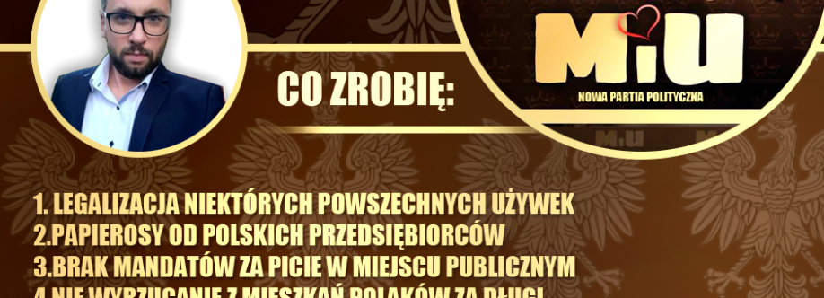 Wyborcy Patryka Krzyżewskiego Cover Image